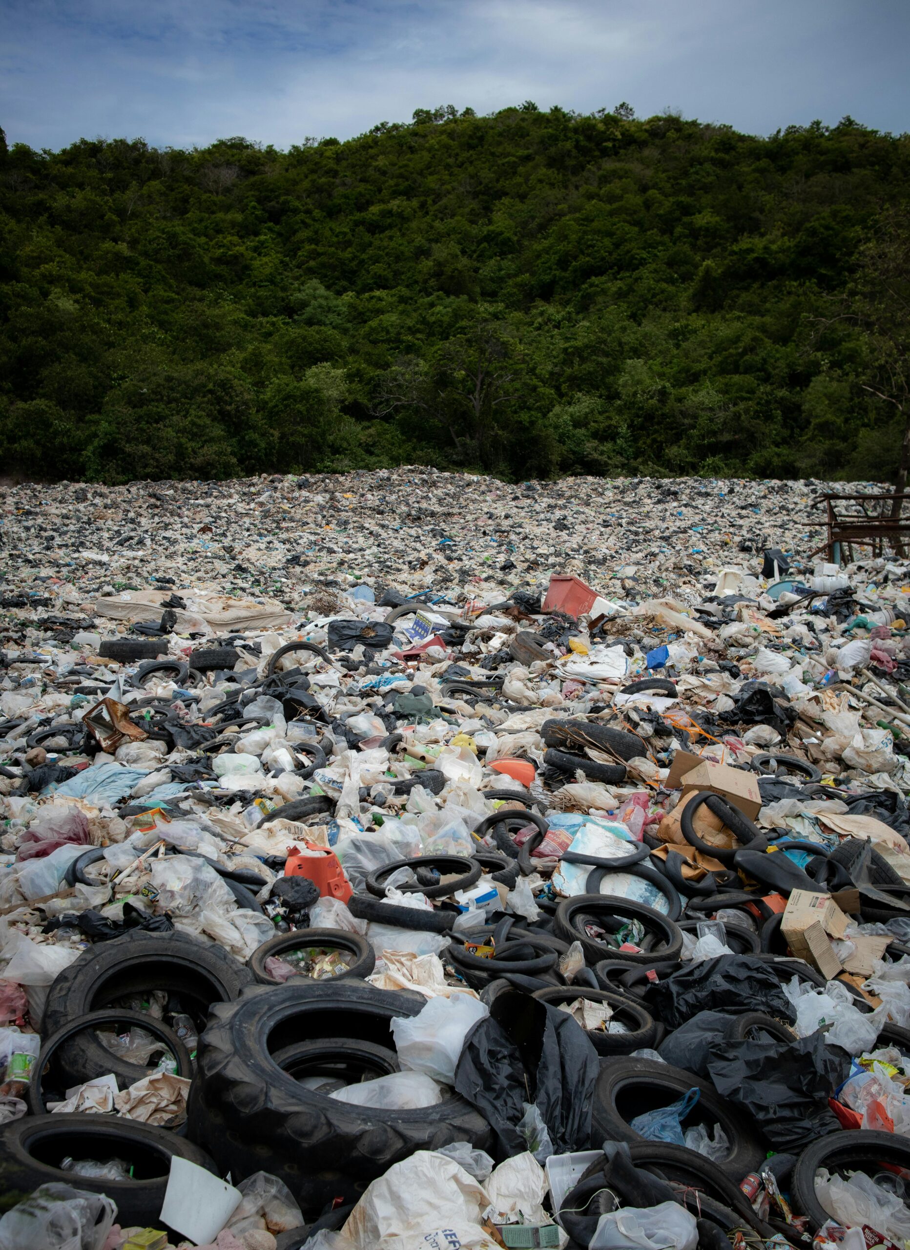 COMBATING SINGLE USE PLASTIC POLLUTION